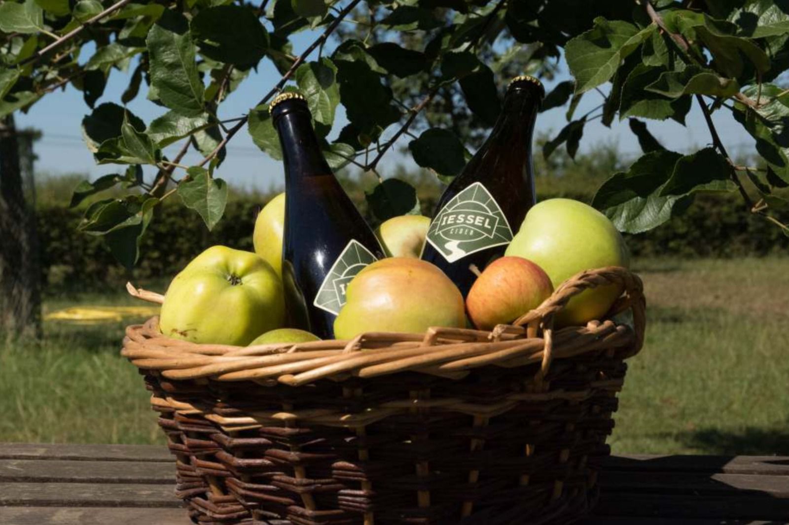 Ciderproeverij 50ste Bierweek